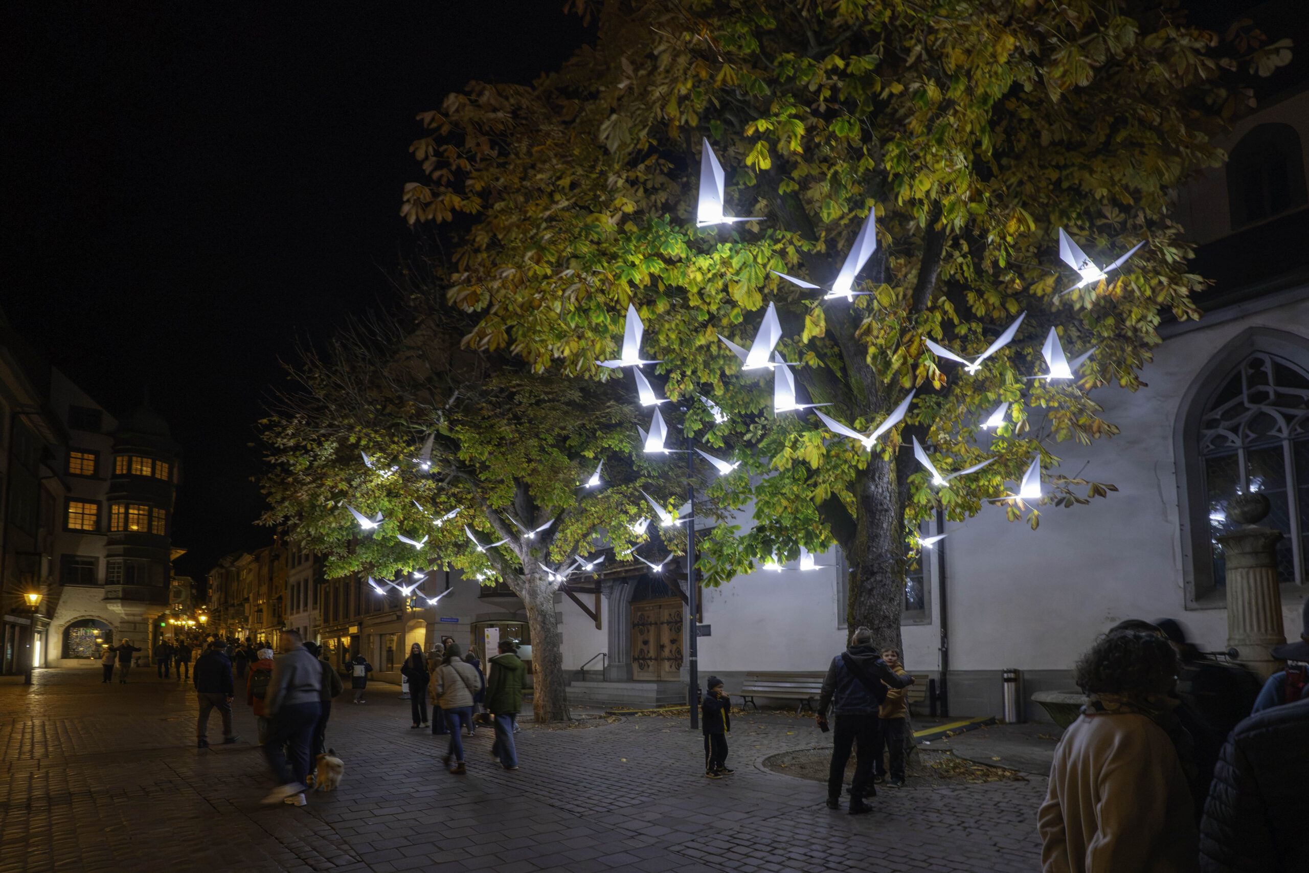 Schaffhausen leuchtet_Dieter Schäuble_63